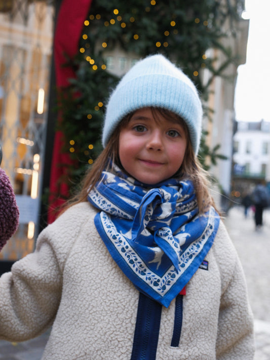 Foulard Adulte Teckel Blue