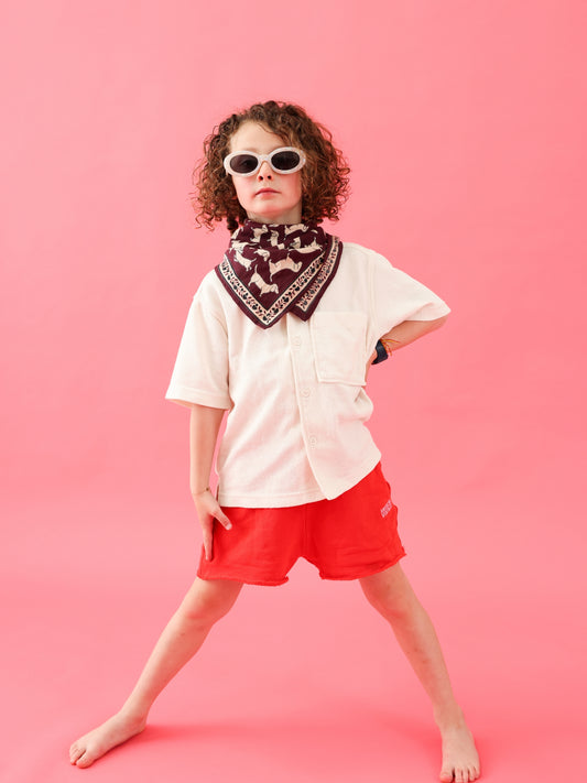 Foulard Bébé Enfant Teckel Prune