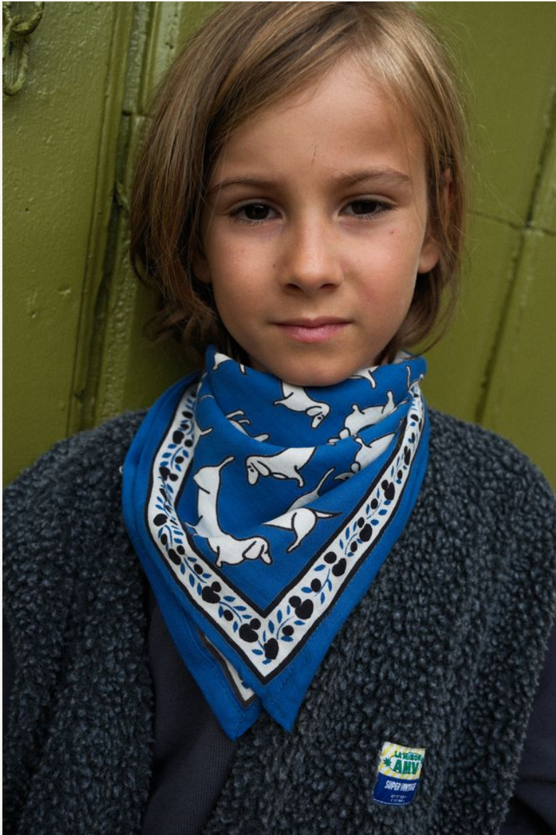 Foulard Bébé Enfant Teckel Blue