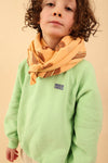 Foulard Adulte Lion Biscuit 100 cm